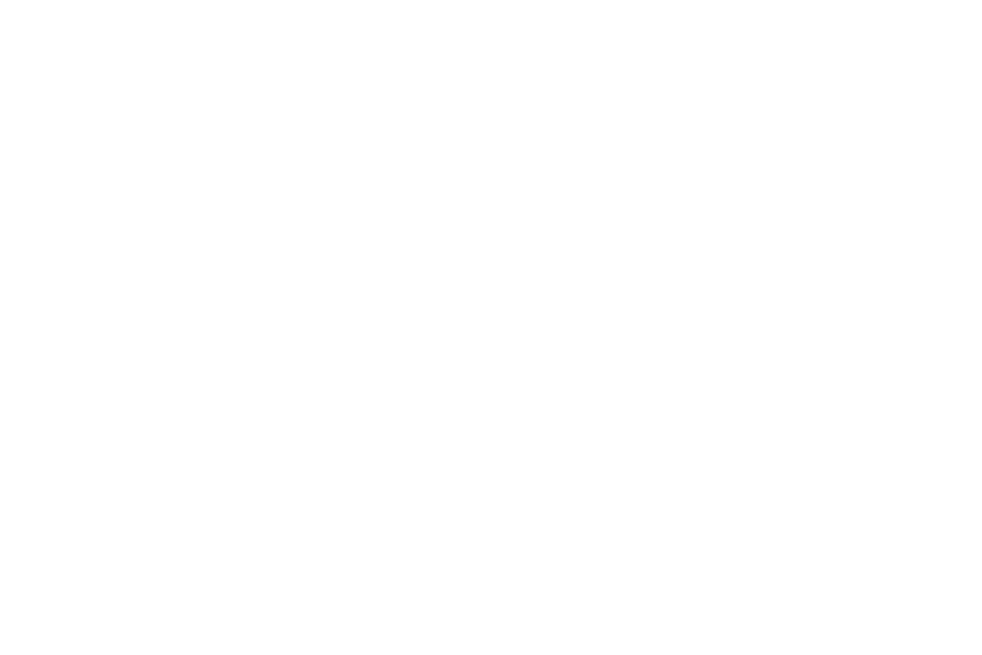 Partner company logo